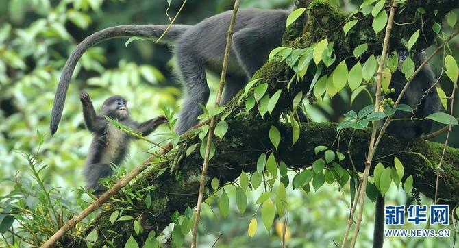 1310501783_16465286166861n