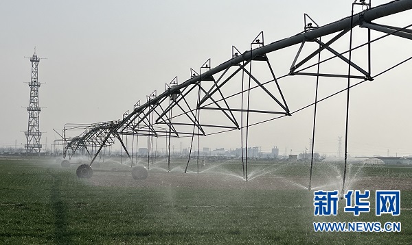 1128457317_16468896935751n