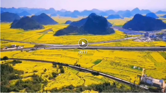 微信图片_20220313161537 微信图片_20220313161537