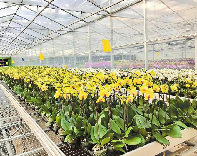 e31af588-08b6-47ef-a5e5-5d5a764981e3 e31af588-08b6-47ef-a5e5-5d5a764981e3