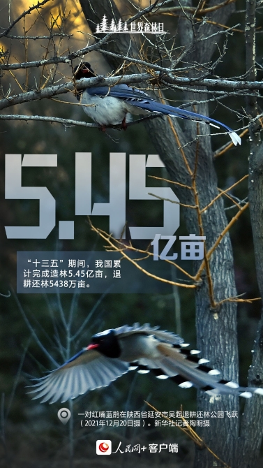 rmwapp_2_202011ae0c6961-b2e9-4893-af86-804da7062b2e