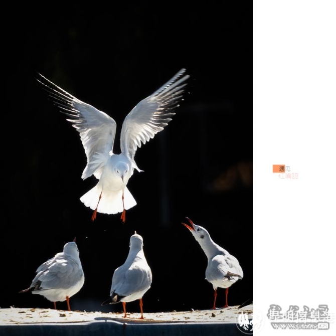 8qe2n4jroca 8qe2n4jroca