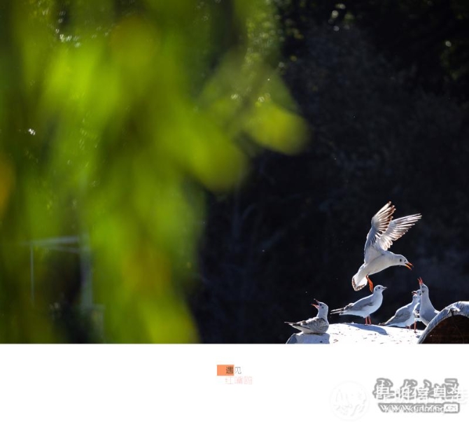 s5s85eqw8m s5s85eqw8m