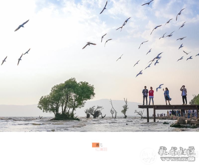 6x9epz41lbg 6x9epz41lbg