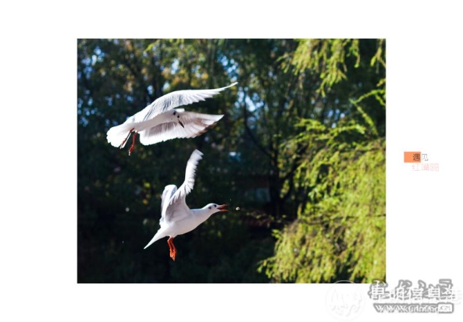 yv7vi8cd0y yv7vi8cd0y