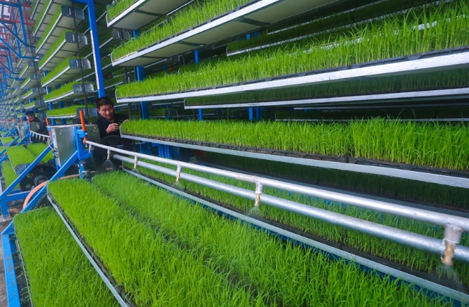 LOCAL202203221721000065069981494