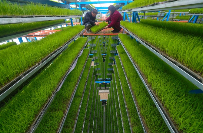 LOCAL202203221720000514200730917