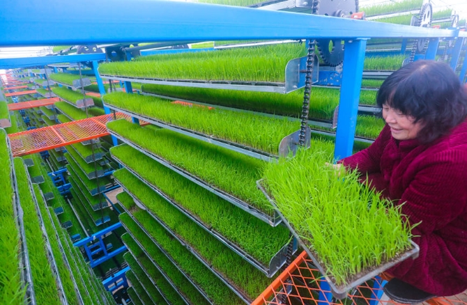 LOCAL202203221720000060312163129