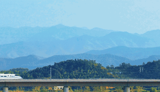 1564974654291.gif 1564974654291.gif