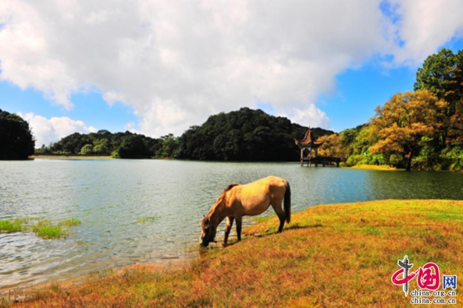 6d0063b3-9cac-465a-a87b-c7bd3d289a07