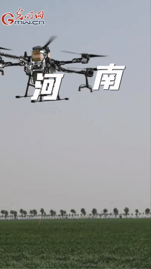 【“动”漫海报】春耕备耕 农资先行 各地各部门多措并举推动农资稳价保供 【“动”漫海报】春耕备耕 农资先行 各地各部门多措并举推动农资稳价保供