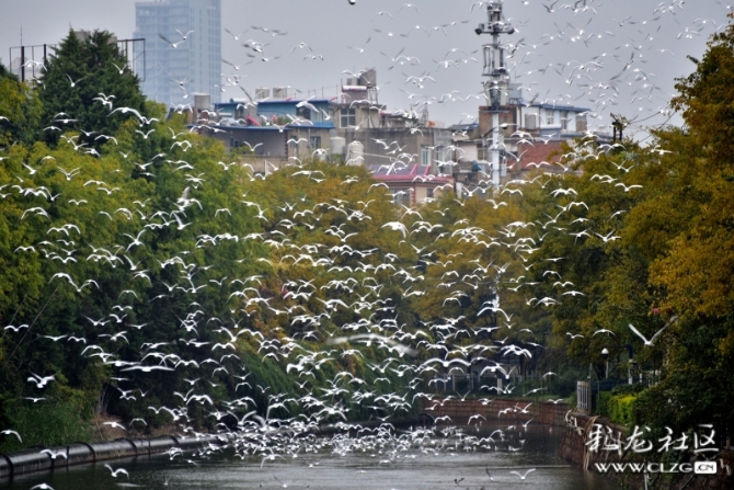 16486495978905989674356889270_5434 16486495978905989674356889270_5434