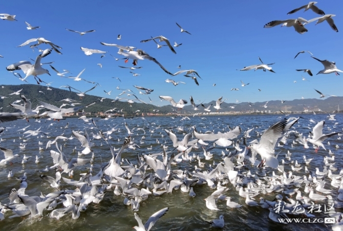 16486495978270639236024433126_5434 16486495978270639236024433126_5434