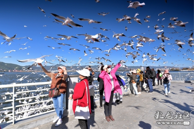 16486495978700583218339381330_5434 16486495978700583218339381330_5434