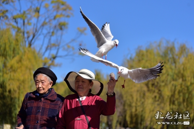 16486495978940397063135896383_5434 16486495978940397063135896383_5434