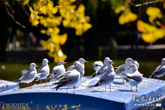 16486495976563913869713815862_5434 16486495976563913869713815862_5434