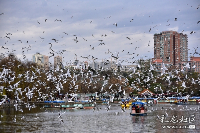 16486495975244501880686353752_5434 16486495975244501880686353752_5434