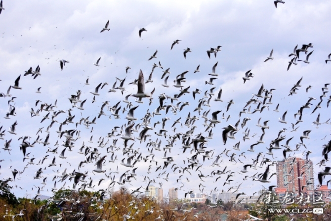 16486495978165155452037401085_5434 16486495978165155452037401085_5434