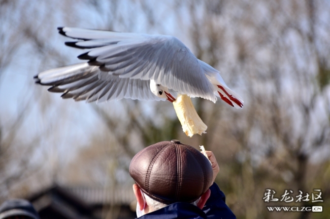 16486495976430634924955755919_5434 16486495976430634924955755919_5434