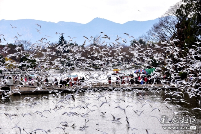 16486495978997448471576112881_5434 16486495978997448471576112881_5434