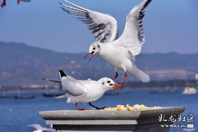 16486495974803635700210384310_5434 16486495974803635700210384310_5434