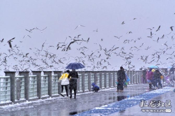 16486495977040781980198992658_5434 16486495977040781980198992658_5434