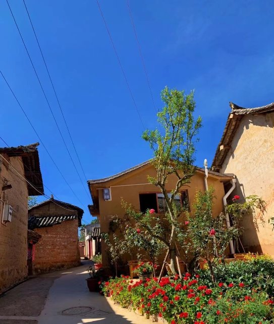 【清明踏春】昆明安宁惬意一日游（安宁市委宣传部 供图）