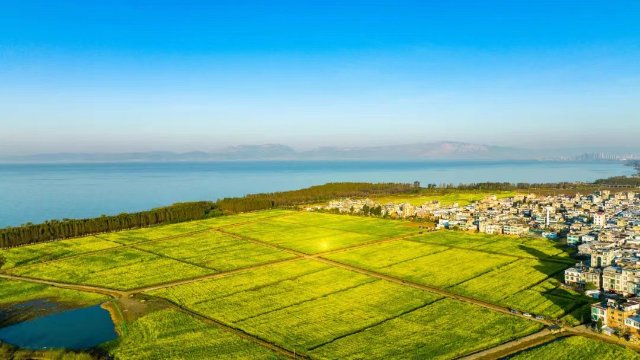 【清明踏春】呈贡江尾村（江尾社区 呈贡区融媒体中心 供图）