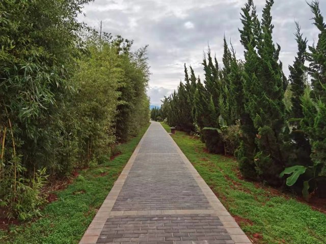 【清明踏春】呈贡江尾村（江尾社区 呈贡区融媒体中心 供图）