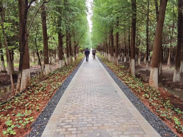 【清明踏春】呈贡江尾村（江尾社区 呈贡区融媒体中心 供图）