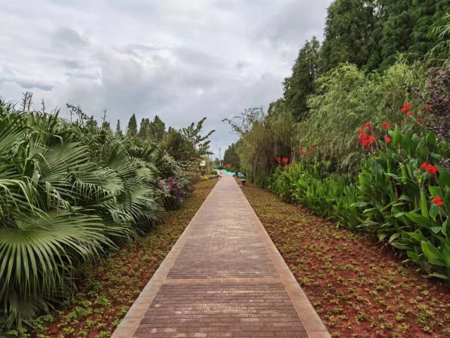 【清明踏春】呈贡江尾村（江尾社区 呈贡区融媒体中心 供图）