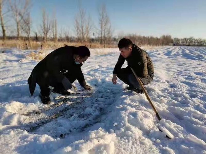 图为九师农（畜）科学研究所工作人员在冬小麦田查看返青和墒情情况（苟汇敏　摄）