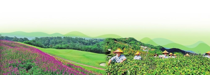 4f764707-3649-4508-8ab1-0e7aa11cd8d5.jpg 4f764707-3649-4508-8ab1-0e7aa11cd8d5.jpg