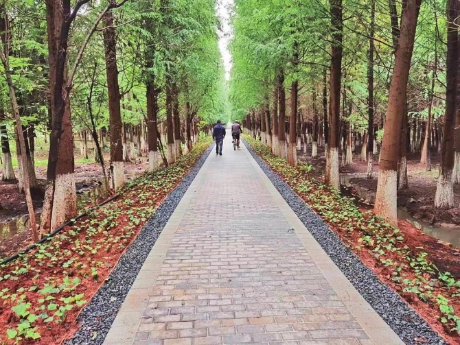 d694e441-6536-4ad8-96f7-63c1cad75ecb.jpg d694e441-6536-4ad8-96f7-63c1cad75ecb.jpg