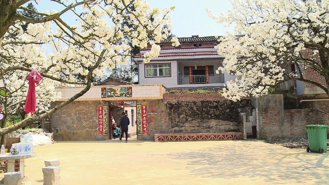 509925b5-0c60-44c5-9dc0-8e6ce6fa7746.jpg 509925b5-0c60-44c5-9dc0-8e6ce6fa7746.jpg