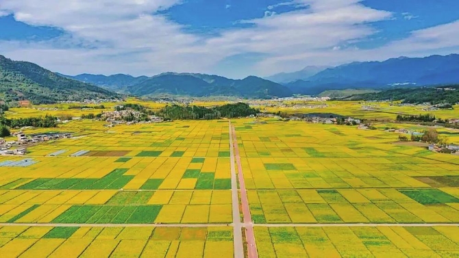 0f399e03-22f9-4d45-82fa-8cb74a9dc99d.jpg 0f399e03-22f9-4d45-82fa-8cb74a9dc99d.jpg