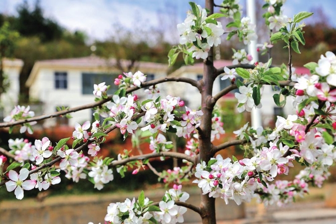 b492a64c-8fbd-4e12-b40f-0d3672786020.jpg b492a64c-8fbd-4e12-b40f-0d3672786020.jpg