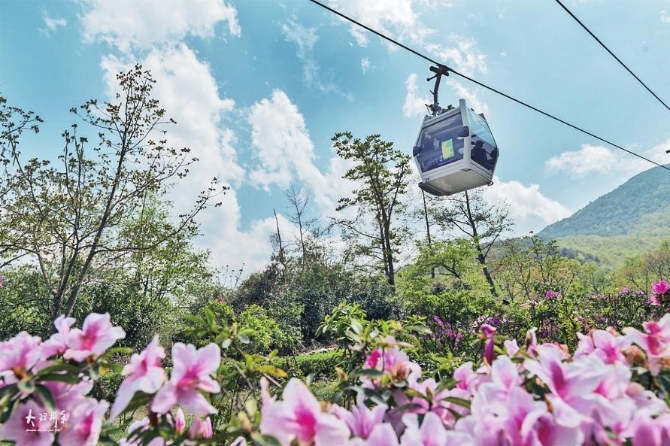 880d13a8-c2d3-44e7-9bbe-46c3f956458c.jpg 880d13a8-c2d3-44e7-9bbe-46c3f956458c.jpg