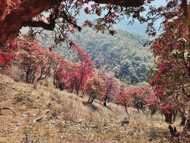 6d738449-d588-4d29-b866-e2fcc69254a3.jpg 6d738449-d588-4d29-b866-e2fcc69254a3.jpg