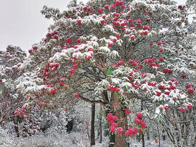 5b7e5738-33ff-4766-8b61-c6ae92a8ff1c.jpg 5b7e5738-33ff-4766-8b61-c6ae92a8ff1c.jpg