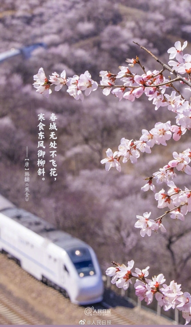 1648950069116894.jpg?x-oss-process=style/w10 2.jpg?x-oss-process=style/w10