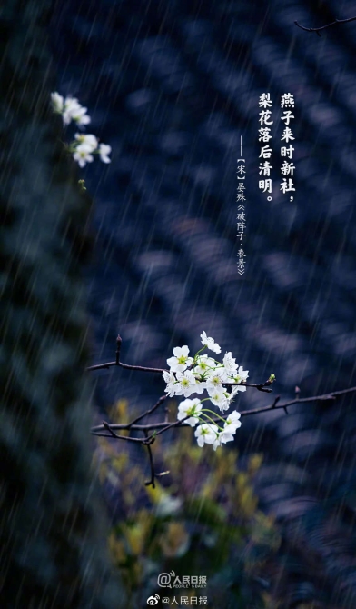 1648950098511262.jpg?x-oss-process=style/w10 7.jpg?x-oss-process=style/w10