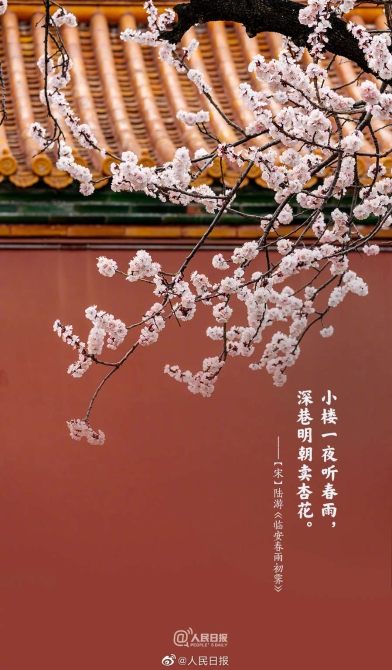 1648950103428347.jpg?x-oss-process=style/w10 8.jpg?x-oss-process=style/w10