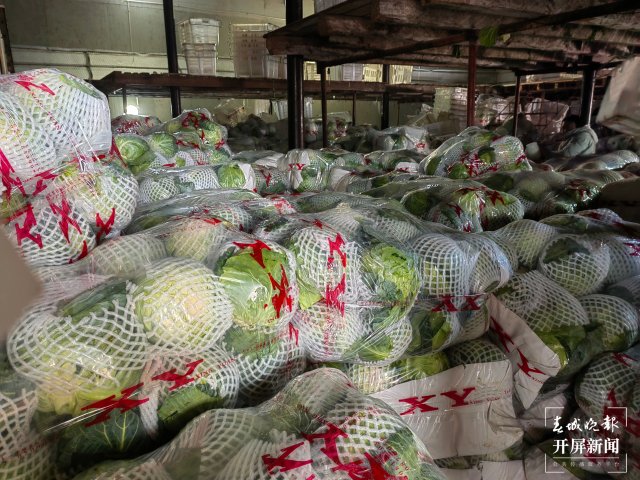 云南通海爱心企业采购80吨蔬菜驰援上海(开屏新闻记者 李春丽 通讯员 胡 婷 吴文汝 摄)