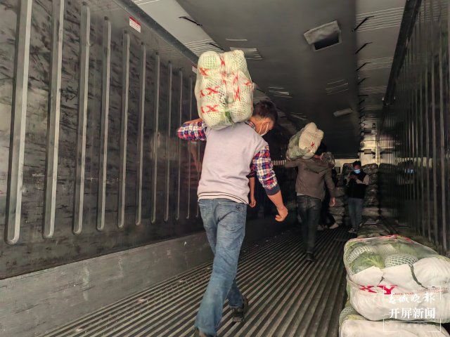 云南通海爱心企业采购80吨蔬菜驰援上海(开屏新闻记者 李春丽 通讯员 胡 婷 吴文汝 摄)