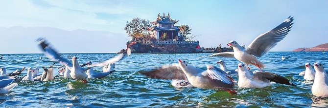 8eceb352-094e-497b-9f6c-5869c5f15fa8