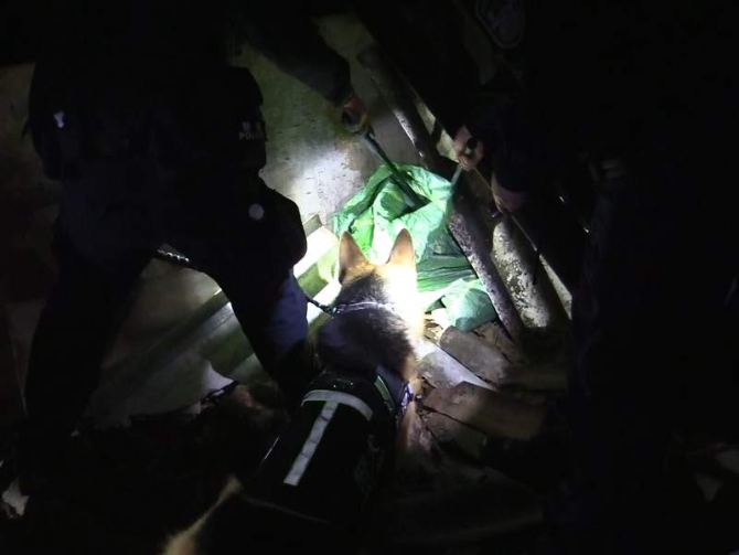 图为警犬查获毒品的现场照片.png?x-oss-process=style/w10