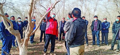 幸福果,甜在群众心里 幸福果,甜在群众心里