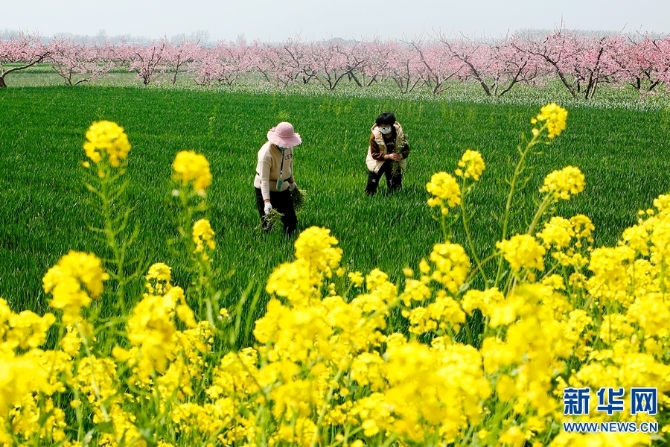 20220411103843494 20220411103843494