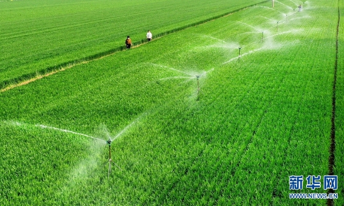 20220411103843289 20220411103843289